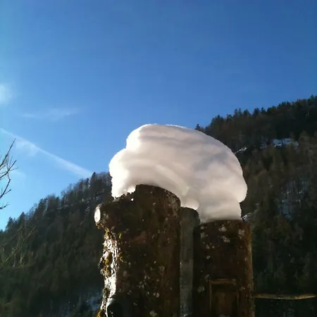 Gatterl Zum *